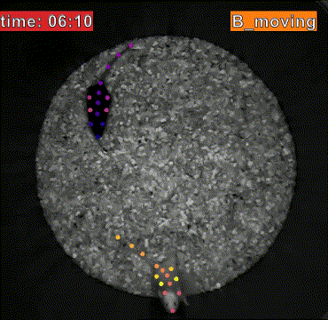 B_stat_passive