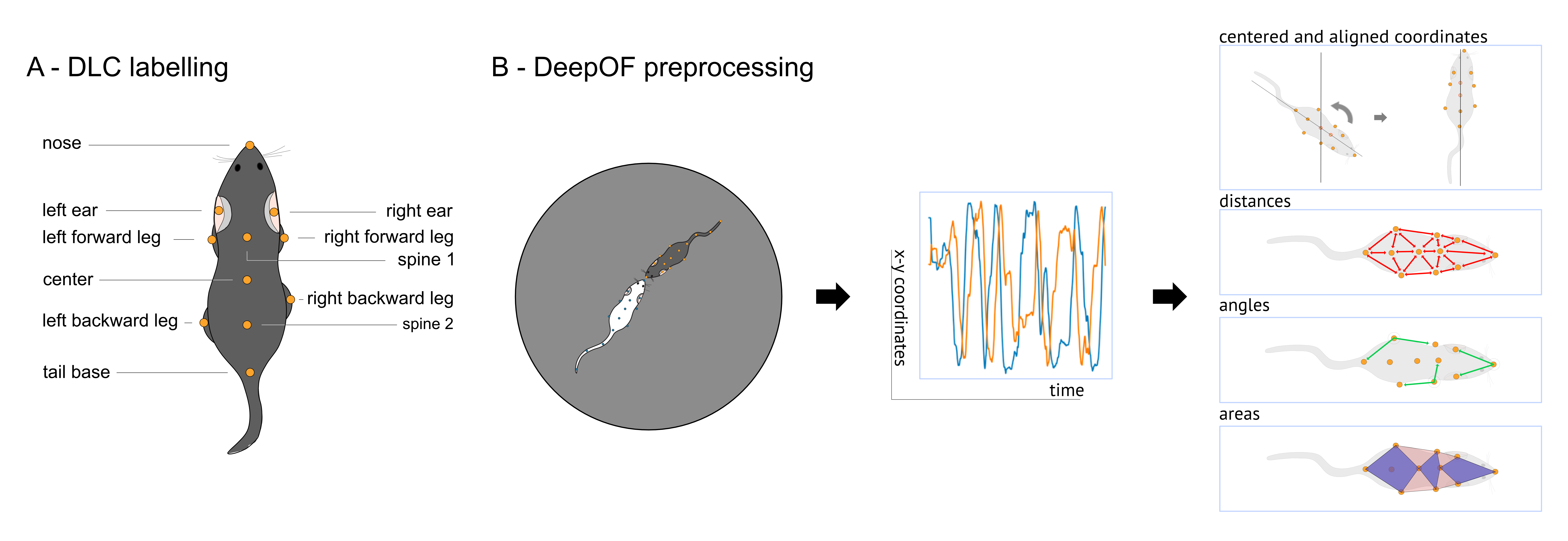 preprocessing