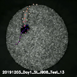 2491dfa00b0a4512881442112bfaf4d6